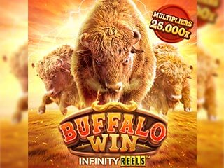 bufallo-win